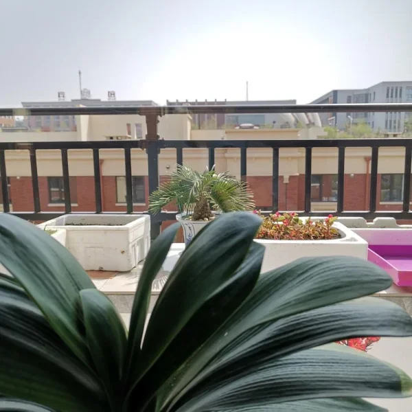 新的家，不是我的