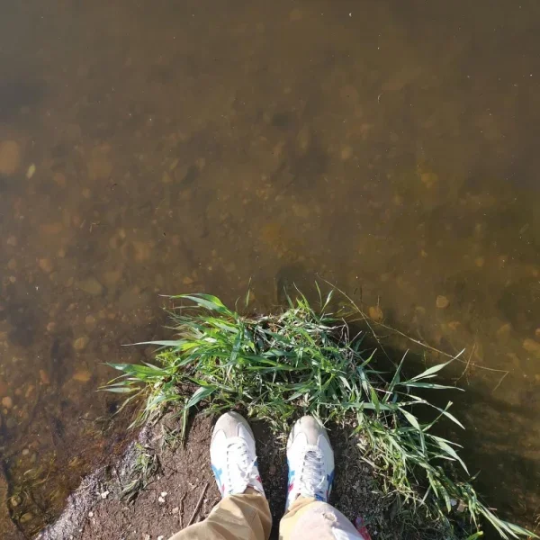 故乡的河边