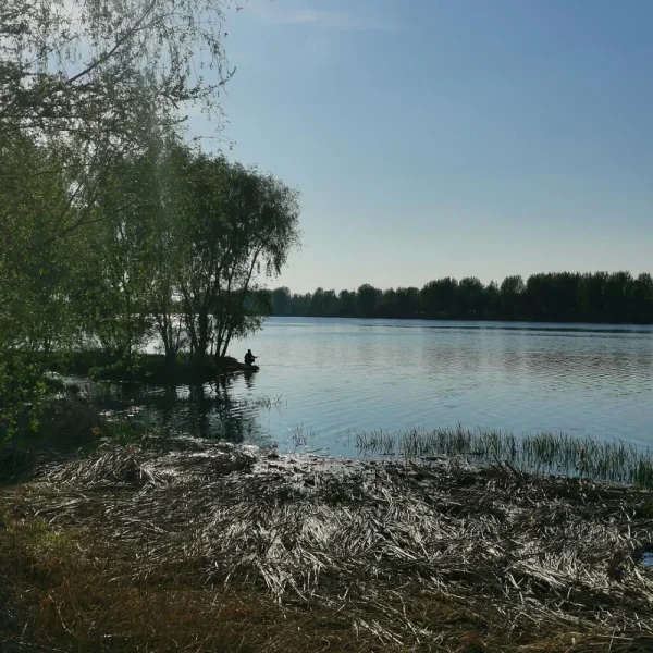 野河