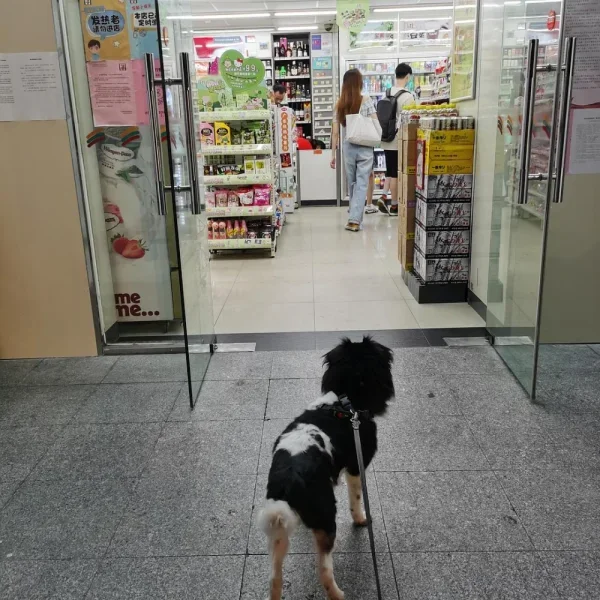 便利店