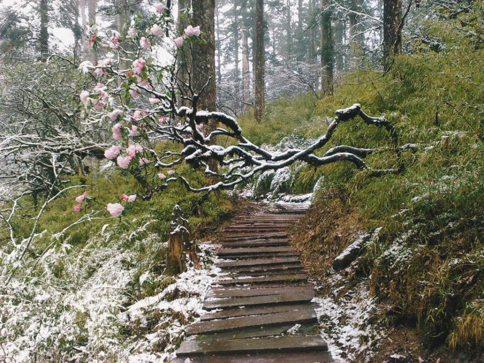 瓦屋山，山下冬天山下夏天，回去咳嗽了一个月