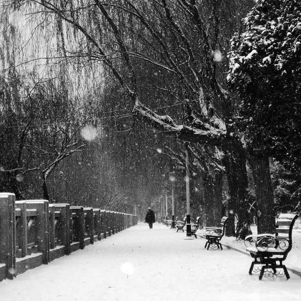 下一场兰州的雪